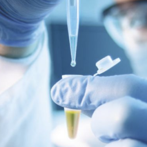 BioOutsources