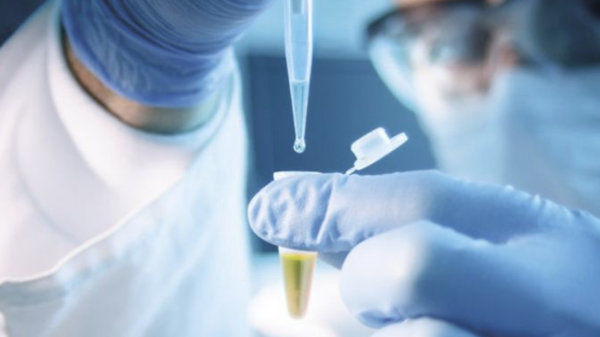 BioOutsources