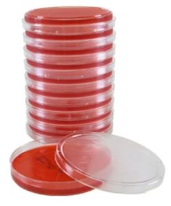 Agar Xilose Lisina Desoxicolato