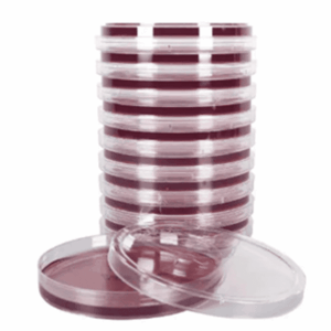 Produtos Laboratoriais 5 Bactérias gram-negativas bile tolerantes