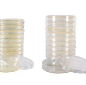 Contagem Do Número Total De Bactérias Heterotróficas