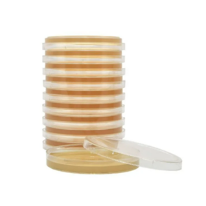 Produtos Laboratoriais 4 Meios de Cultura para Contagem em Placa