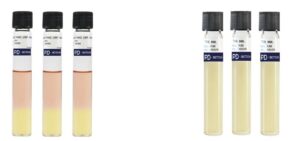 Pesquisa de Pseudomanas Aeruginosas Pesquisa de Pseudomanas Aeruginosas