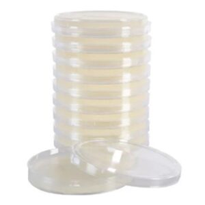 Pesquisa de Micro Organismos Patogênicos - Pseudomonas Aeruginosa