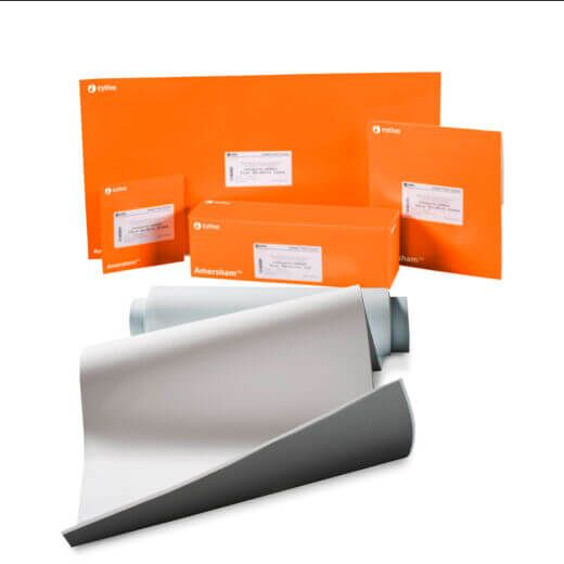 Membrana para Blotting: Guia de Escolha para Western Blot e Transferência de Proteínas 1 Membrana